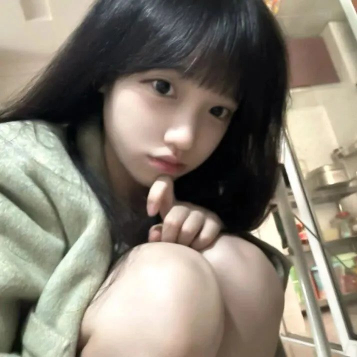 明月守护者 海报
